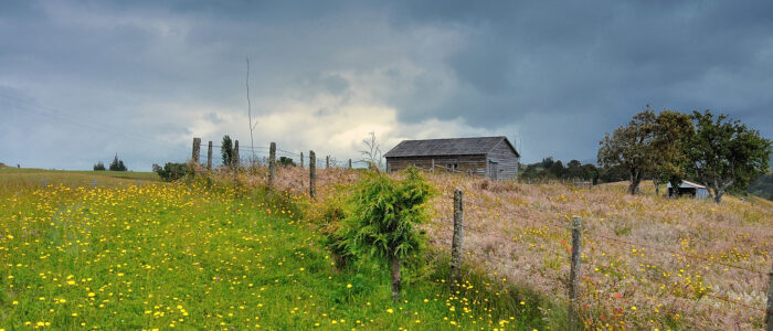 8444010780_010bce0131_b